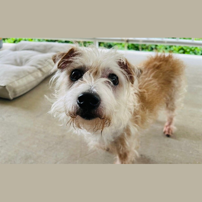 Photo of Walter And Abby