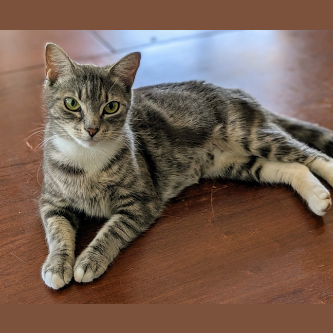 Photo of Elsa