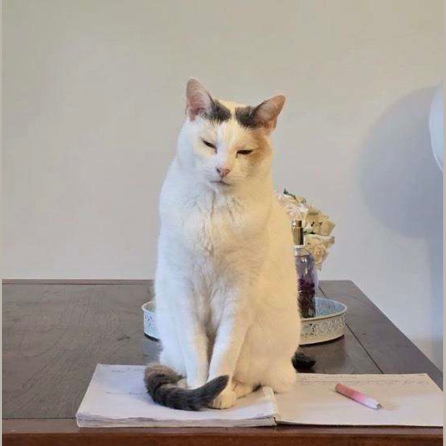 Photo of Angel