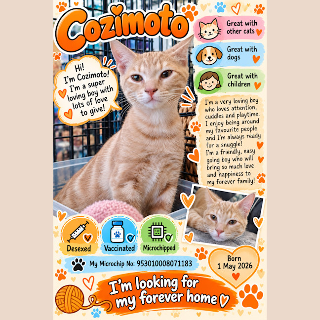 Photo of Cozimoto