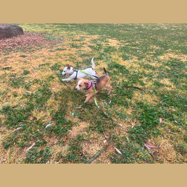Photo of Missy