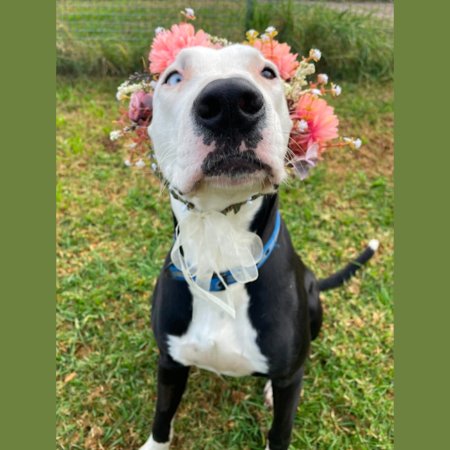 Photo of Spooky