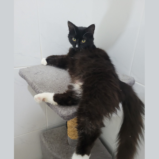 Photo of 💕 Phoebe Buffay 💕