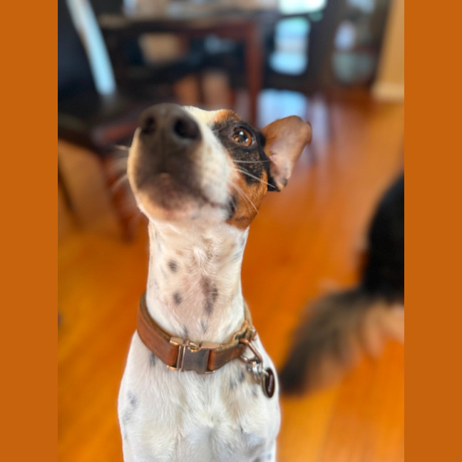 Photo of Bobby 