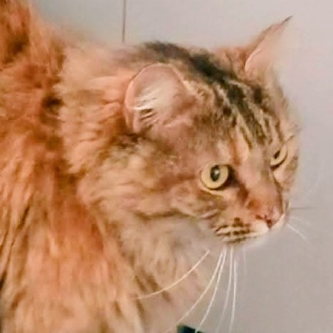 Photo of Elsa