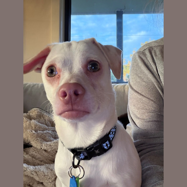 Photo of Woody