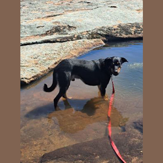 Photo of Leroy
