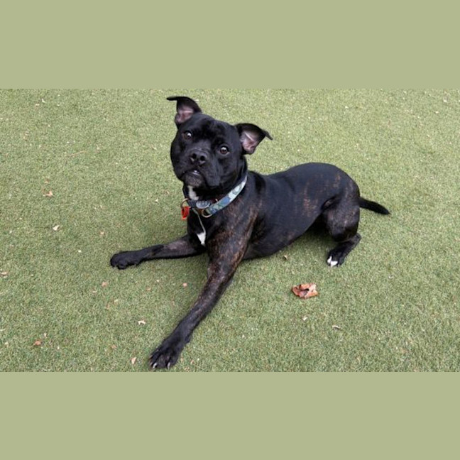 Photo of Turbo