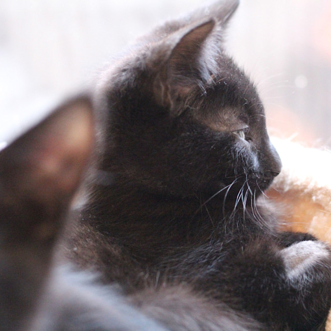 Photo of 🩷 Medina 🩷