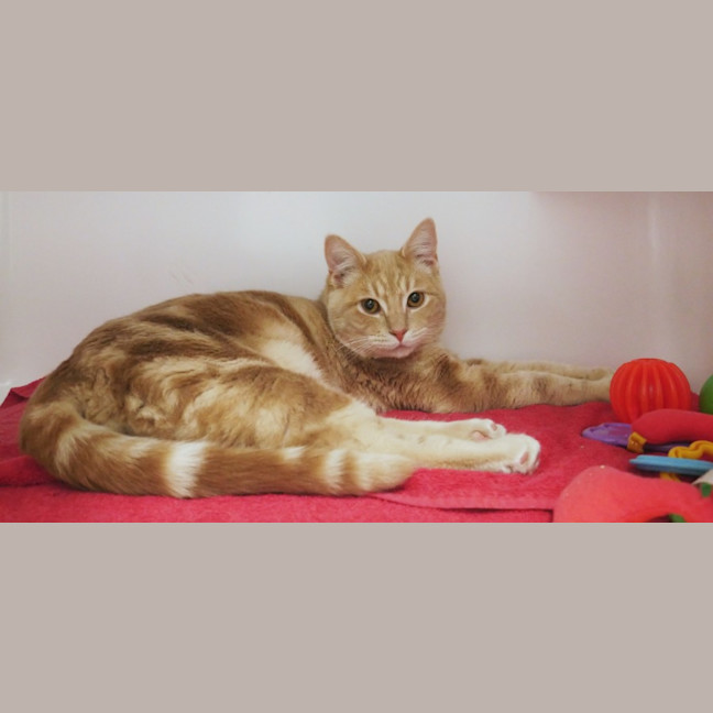 Photo of Teddy Sua012906