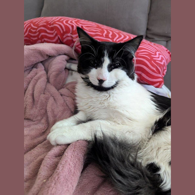 Photo of Spicy