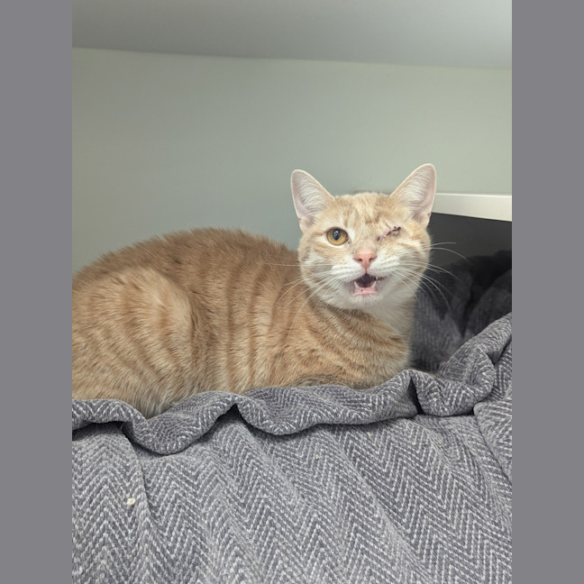 Photo of Miss Garfield