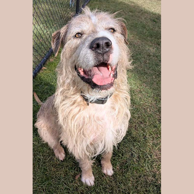 Photo of Tucker