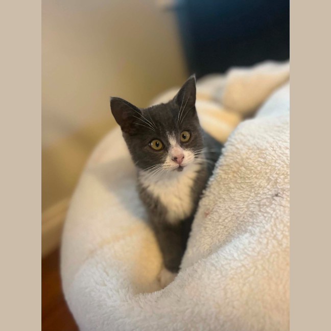 Photo of Gus