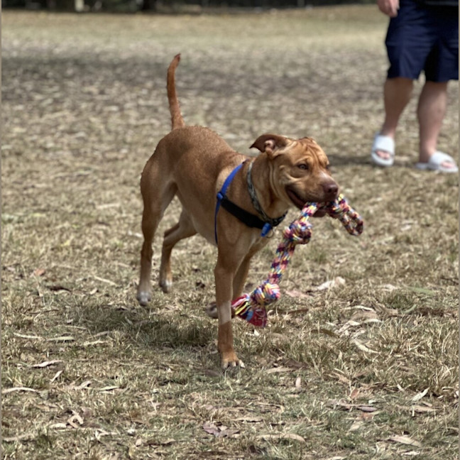 Photo of Ember