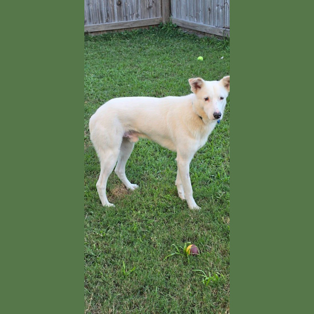 Photo of Smiley