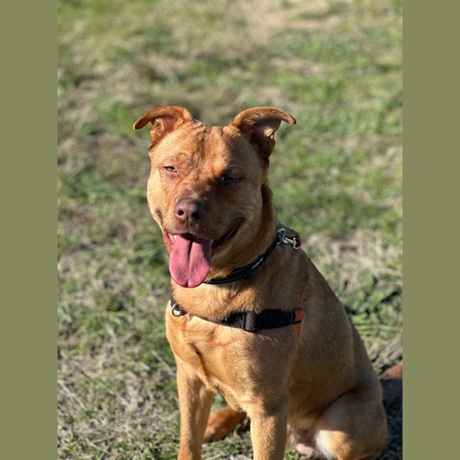 Photo of Zeus