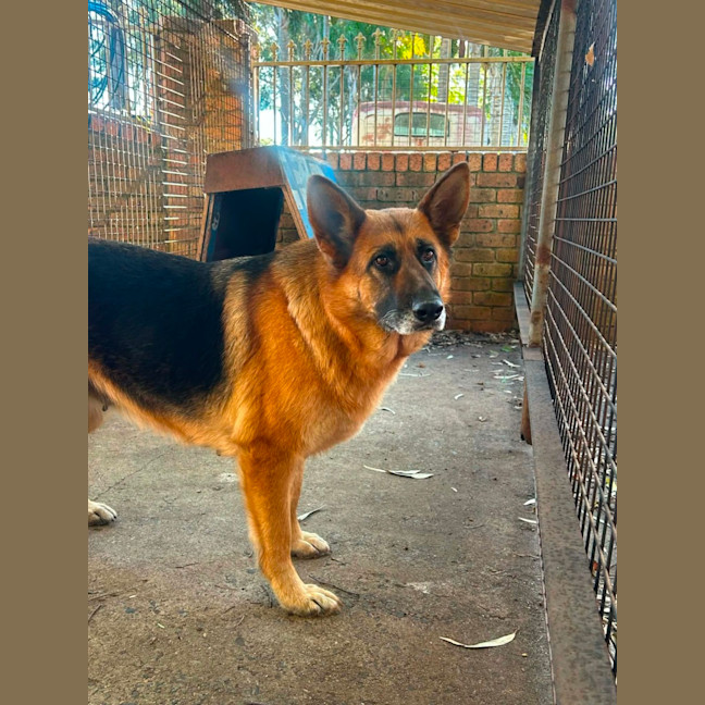 Photo of Molly