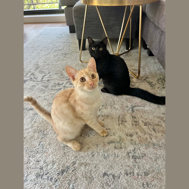 Photo of Kevin And Shadow