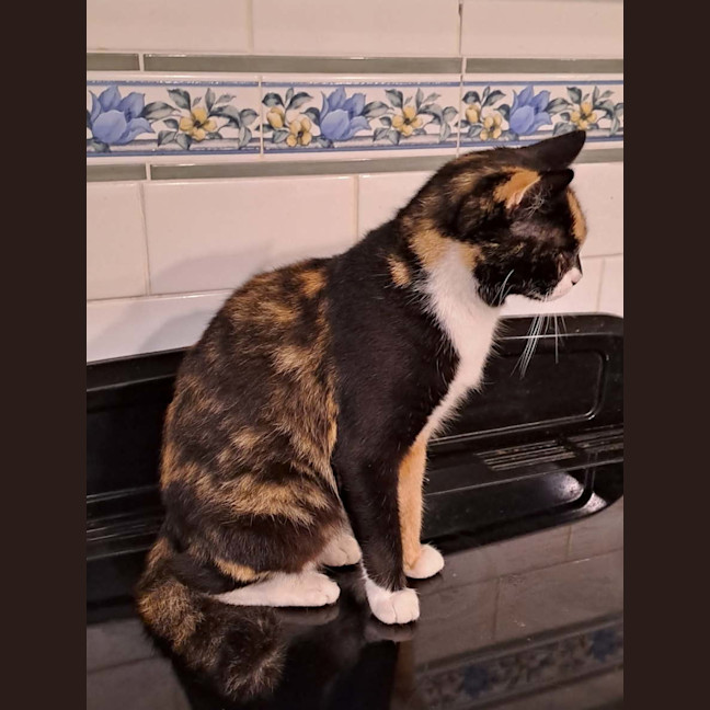 Photo of Agnes