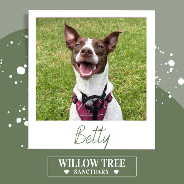 Photo of Betty 