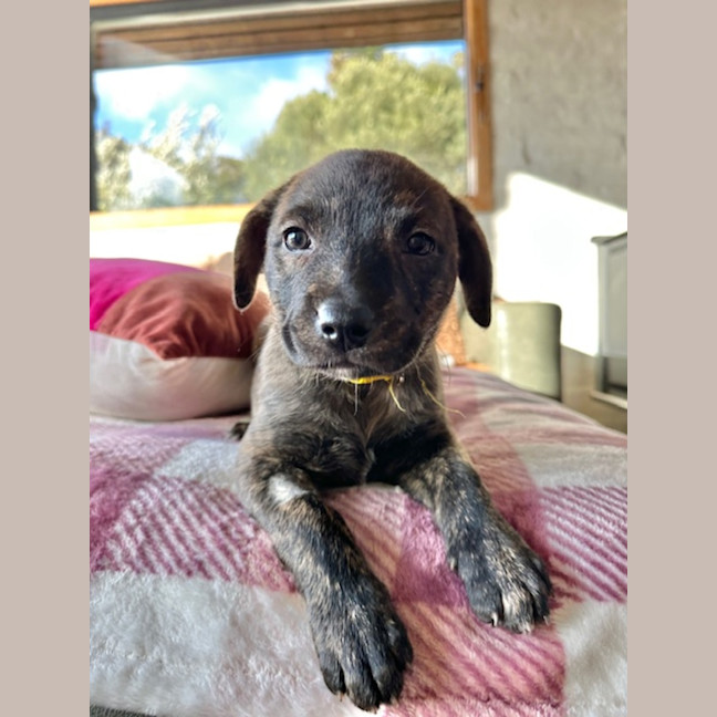 Photo of Clue