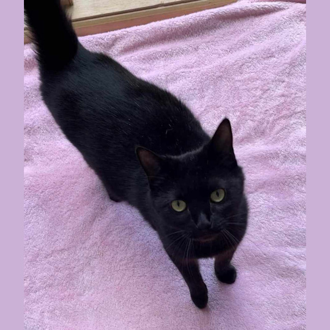 Photo of Ashlie & Lisa