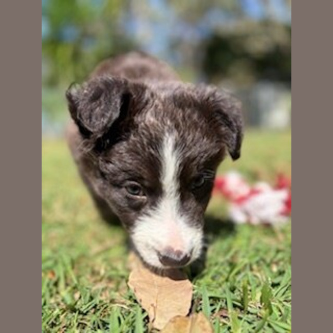 Photo of Ted