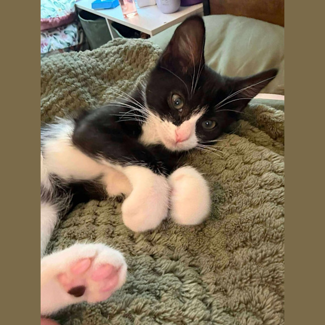 Photo of Ophelia 
