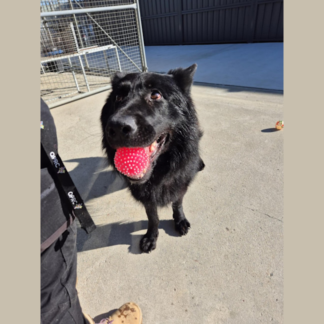 Photo of Archie 💘