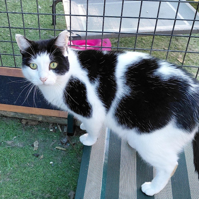 Photo of Tootsy