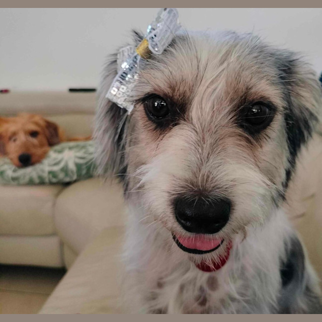 Photo of Missy Muddle