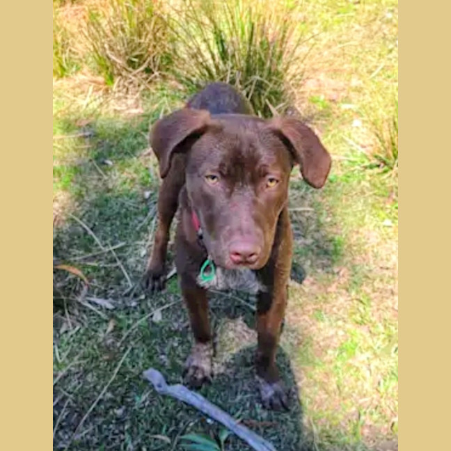 Photo of Cino