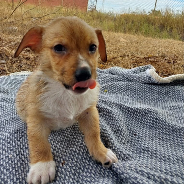 Photo of Eggsy
