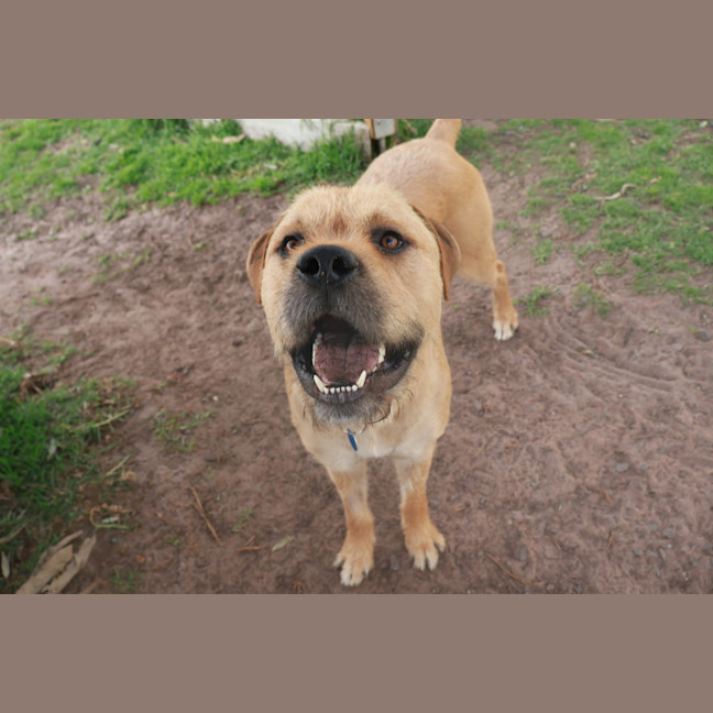 Photo of Apollo