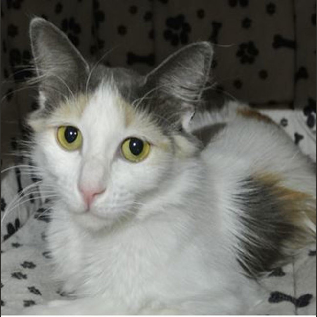Photo of Leela
