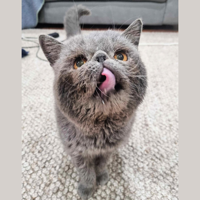 Photo of 🧣Kishmish🧣