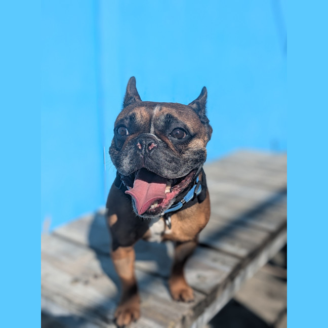 Photo of Axle