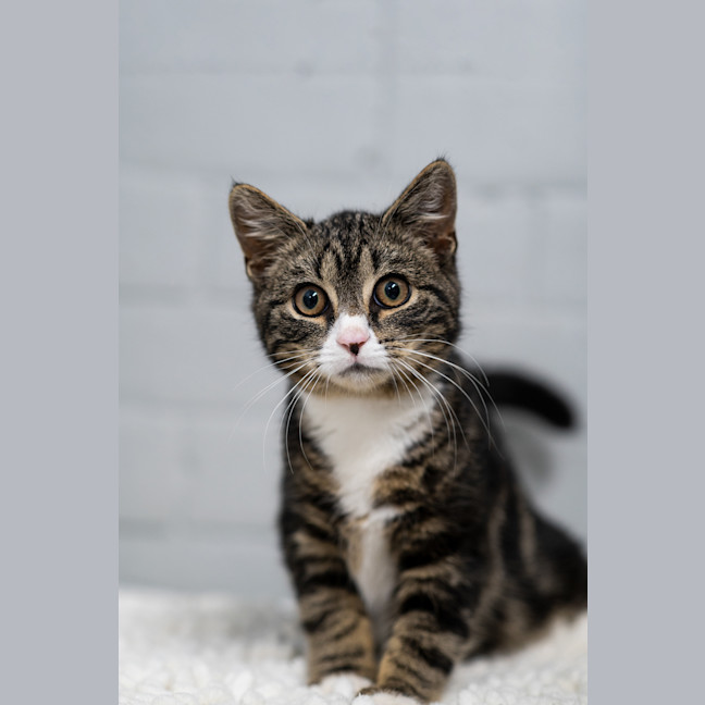 Photo of Jack