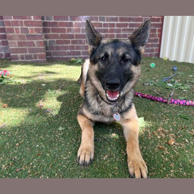 Photo of Maggie
