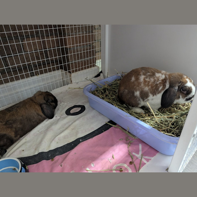 Photo of Thump & Pence