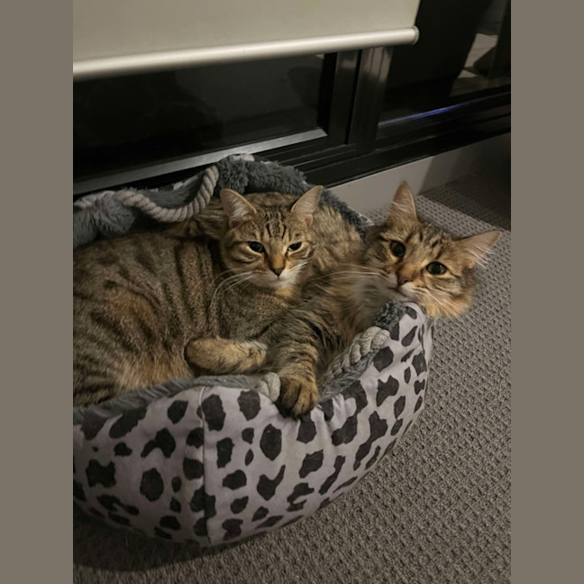 Photo of Fred & Barney