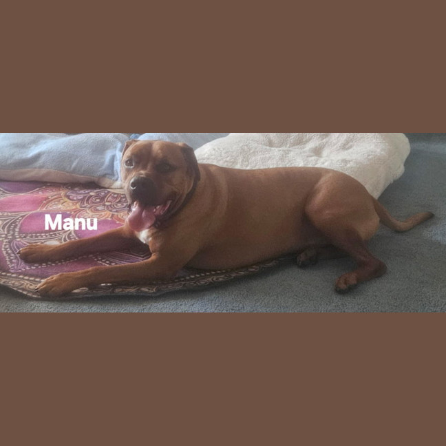 Photo of Manu