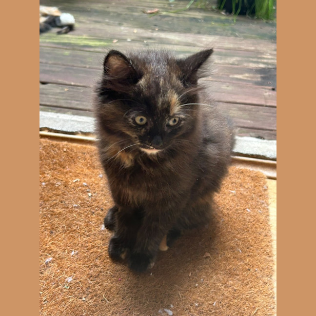 Photo of Cash