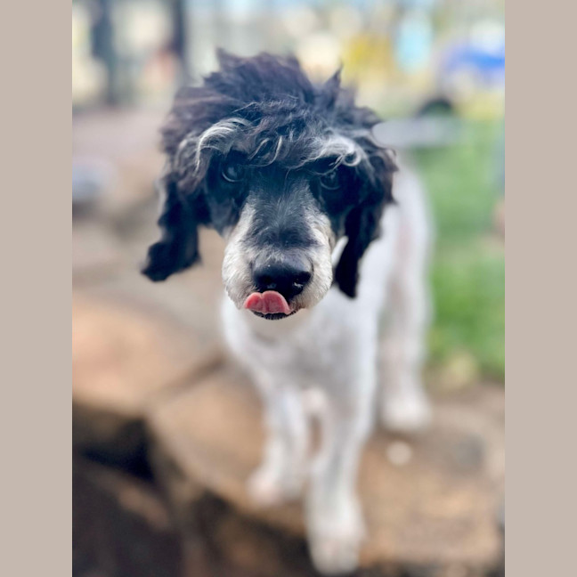 Photo of Molly