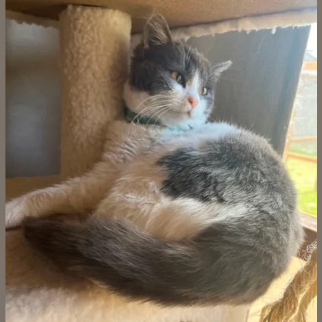 Photo of Rosie Dancer