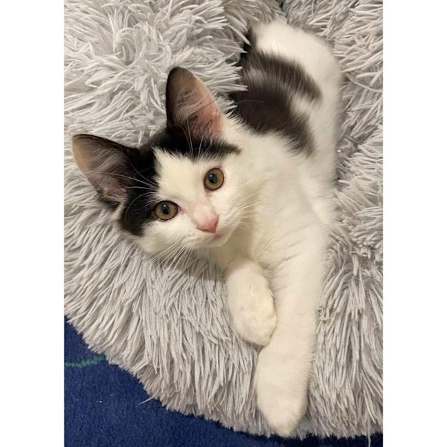 Photo of 12312   Brook