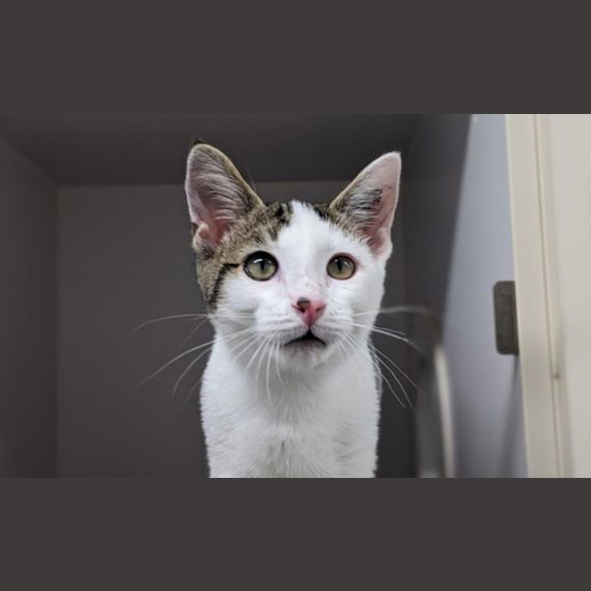 Photo of Steve