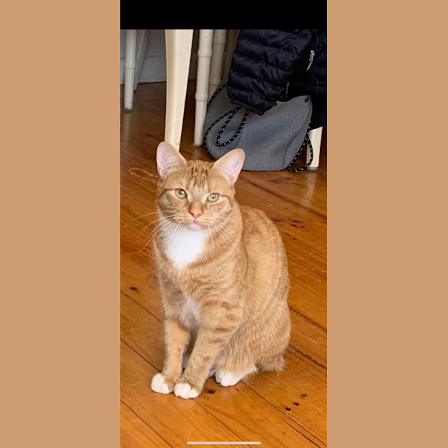 Photo of Boots (And Missy)