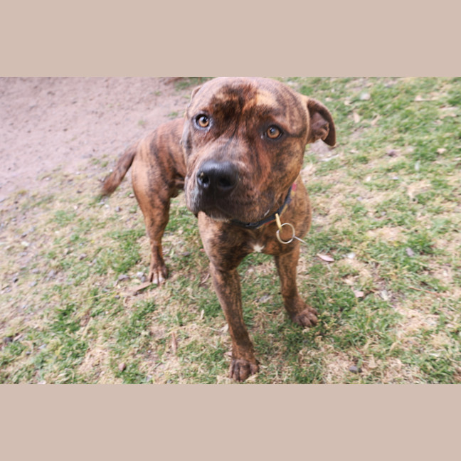 Photo of Bruce